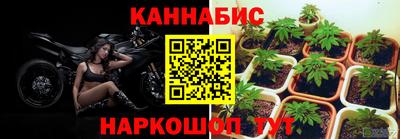 эйфоретик Новодвинск