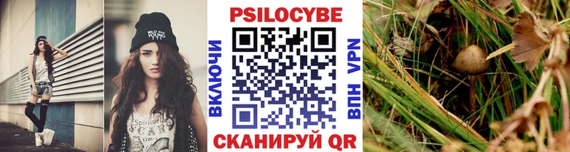 Галлюциногенные грибы Cubensis  KRAKEN вход  Ярцево 