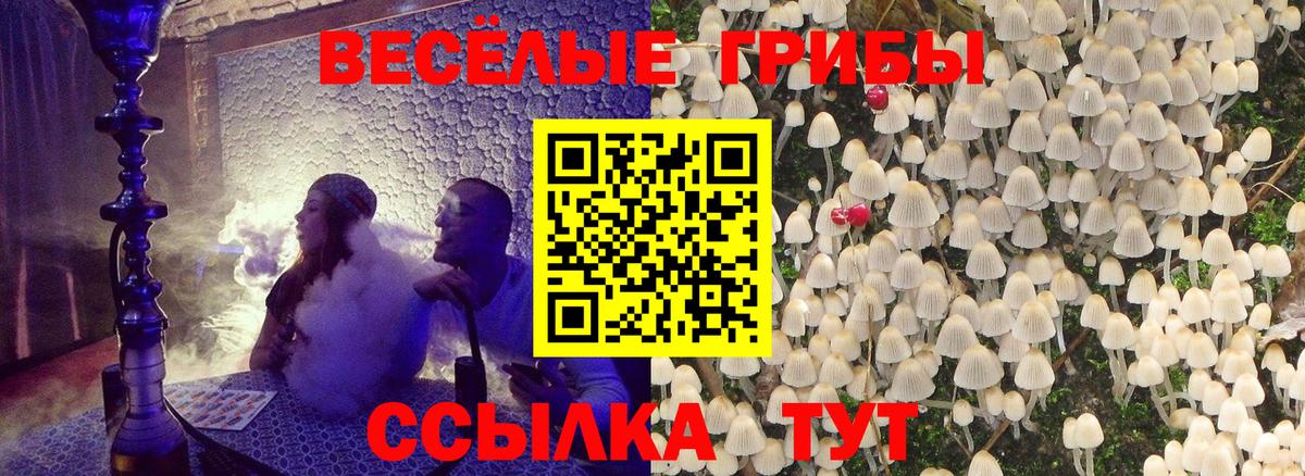 Псилоцибиновые грибы Cubensis Ярцево