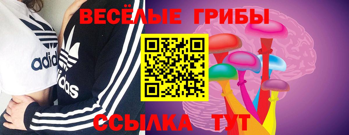Ярцево  Псилоцибиновые грибы GOLDEN TEACHER  Вход с VPN 