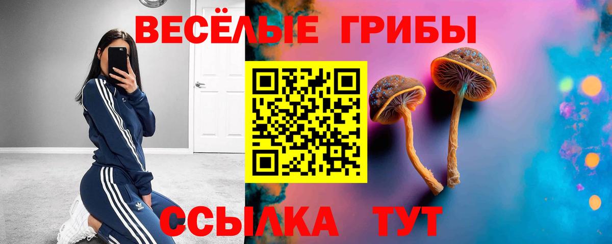 Где найти наркотики?  Канабис  Вход с VPN  COCAIN  ГАШИШ  Ярцево  Мефедрон  