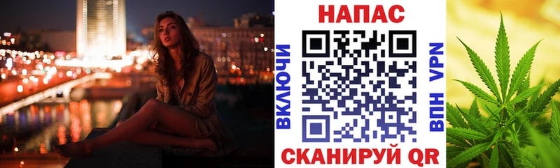 Конопля сатива  Ярцево 